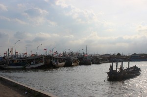 IMG_9780