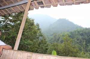 duriansinapeul