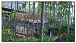 rumahudang_zoo