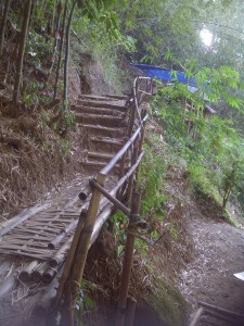 IMG-20150717-02227