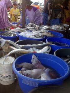 Pasar Ikan Karang Sambung 7
