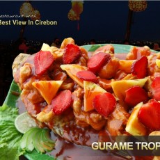 LEZATNYA GURAME TROPICANA KLAPA MANIS