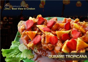 tropicana KOM